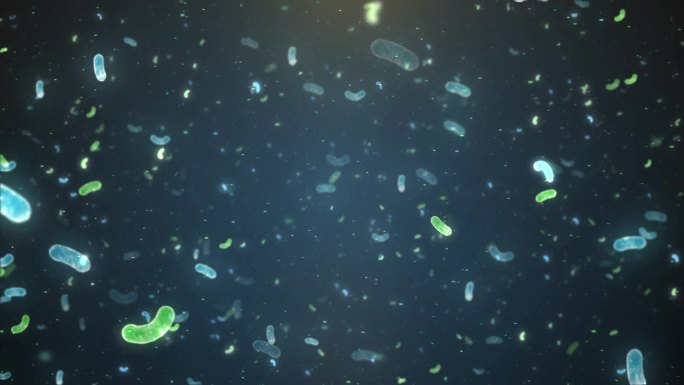 蓝绿色科技乳酸菌微生物穿梭视频素材