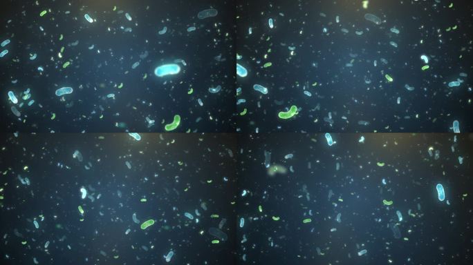 蓝绿色科技乳酸菌微生物穿梭视频素材