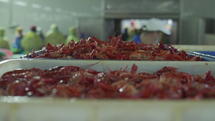 小龙虾 生产 加工 车间 食品