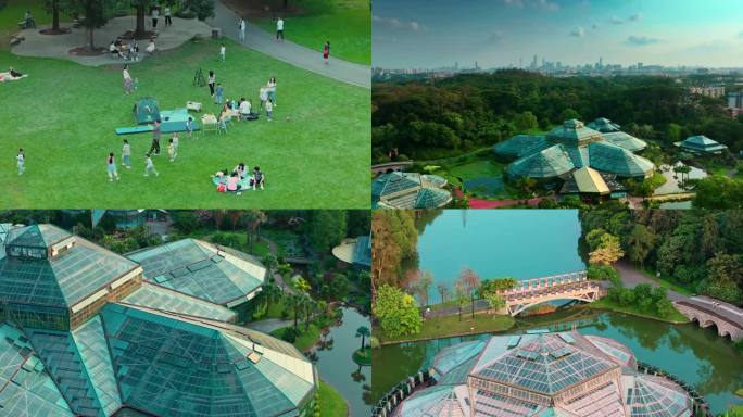 广州华南植物园夏日人文航拍高清4K视频