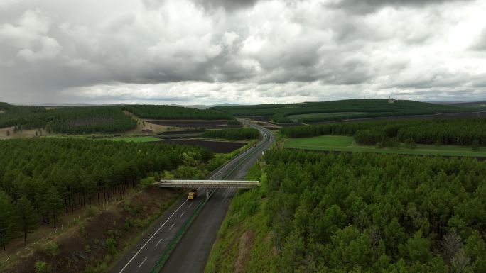 林区公路高速公路