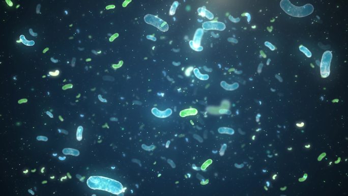 蓝色科技乳酸菌微生物穿梭视频素材