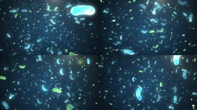 蓝色科技乳酸菌微生物穿梭视频素材