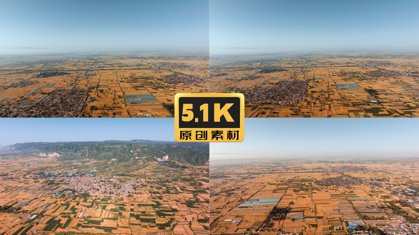 5K-俯瞰麦田，俯瞰万顷良田，金色麦田