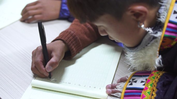 学生写作业 抄写生词 抄写成语 上学