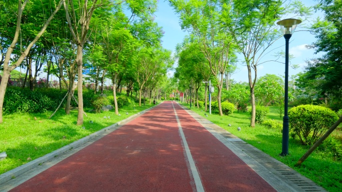 阳光林荫小路 跑道 绿道 骑行道