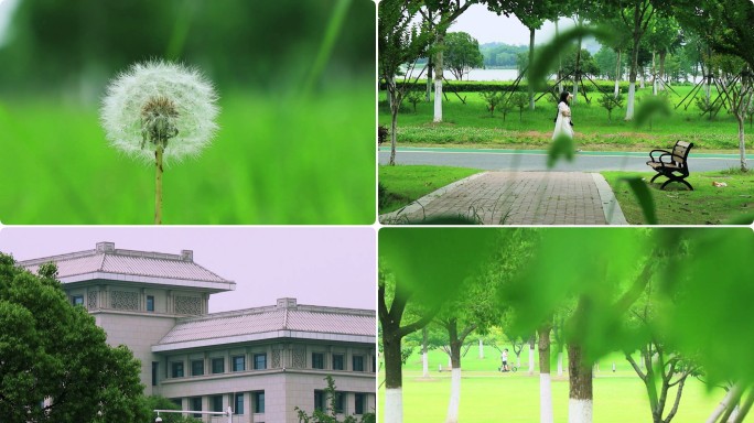 安徽省政府办公大楼、唯美方兴湖公园景区