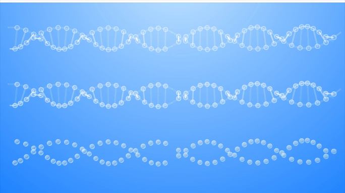 DNA透明分子