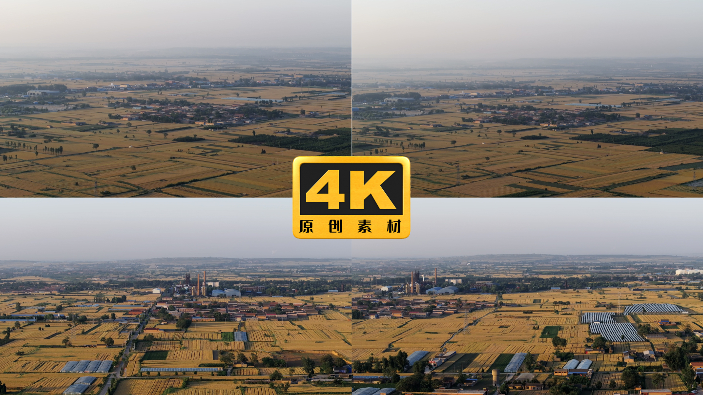4K-俯瞰农田，农业丰收，农田航拍