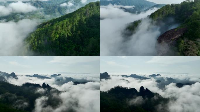 【4K】武夷山云雾白云寺航拍大景