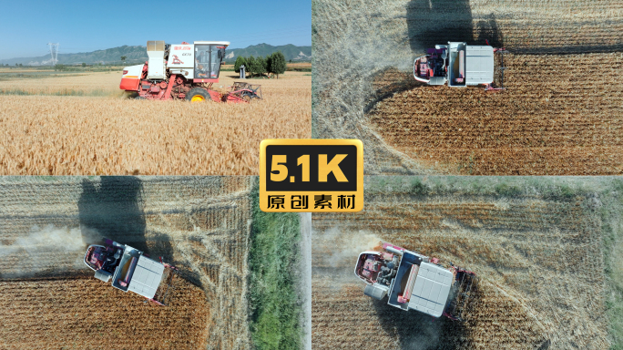 5K-联合收割机收割麦子，麦田航拍