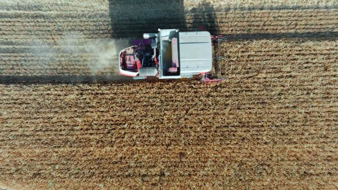 5K-联合收割机收割麦子，麦田航拍