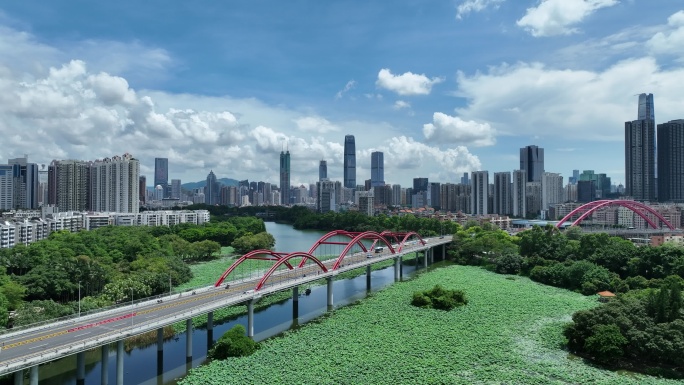 深圳洪湖公园芙蓉桥蓝天白云航拍