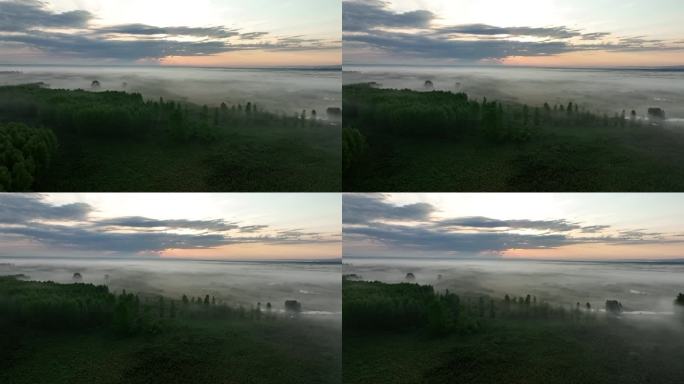 大兴安岭湿地清晨雾气