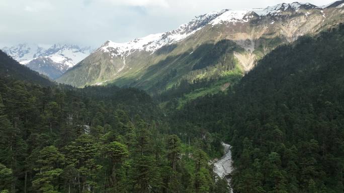 西藏 墨脱 雨淋 热带雨林 雪山