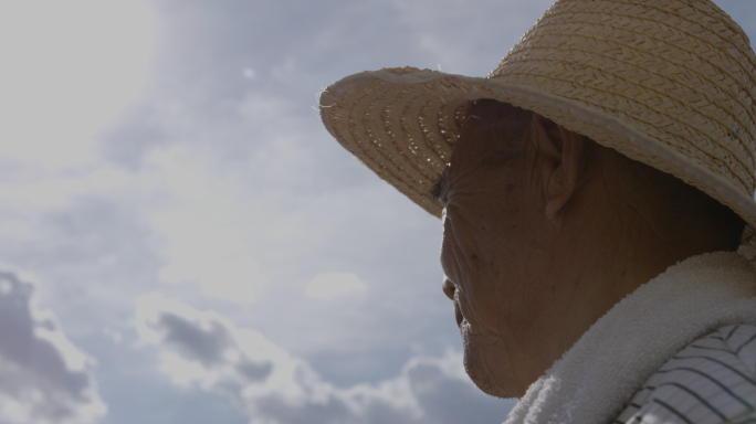 酷热 守望者炎热夏天 农村田地 麦田