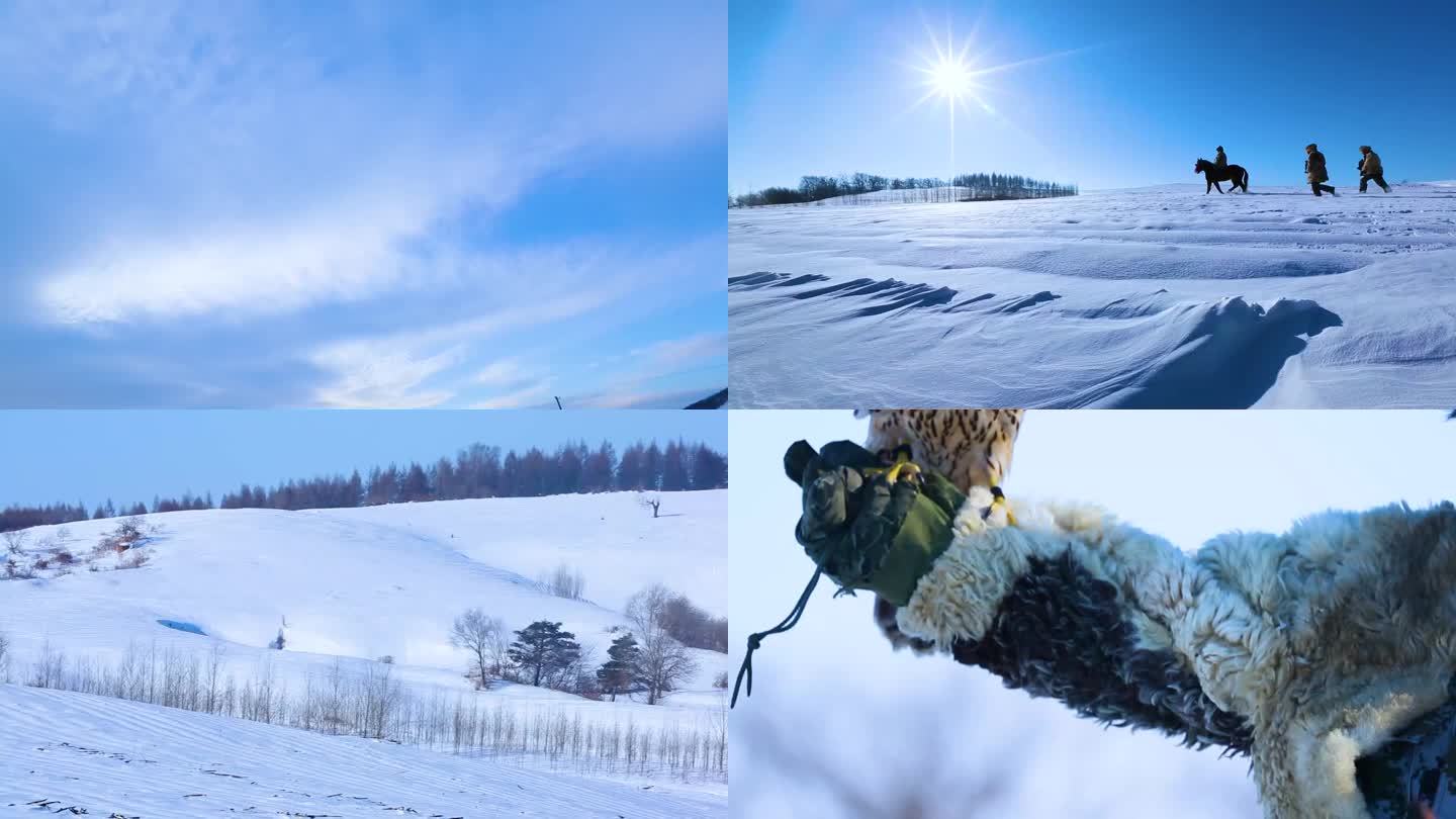 飞翔的海雕 雪地 自然风光