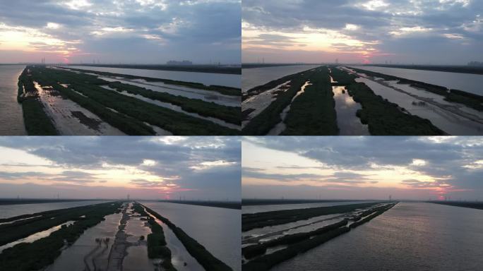 4K 天津 独流减河 湿地 夕阳 风景