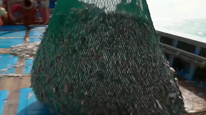 捕鱼海上捕鱼鱼网渔业渔船