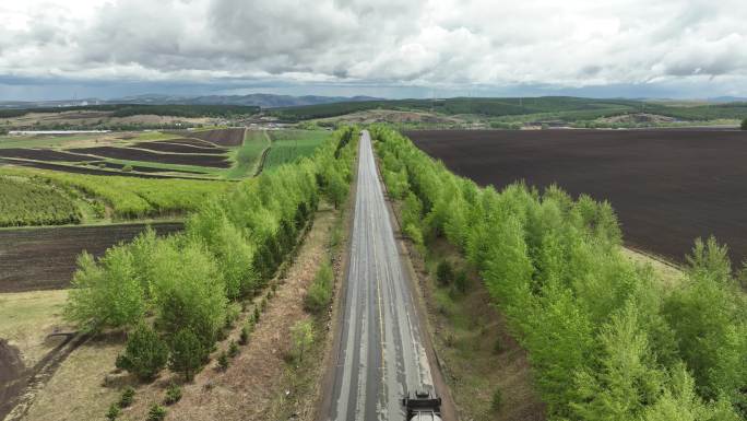 林间道路上行驶的汽车