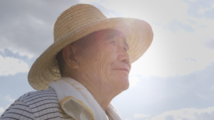 炎热夏季 烈日炎炎 农村农民劳作锄地禾苗