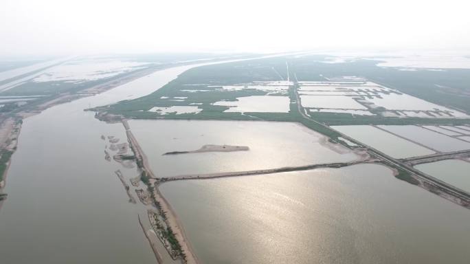 天津大港湿地公园航拍4K 2022年