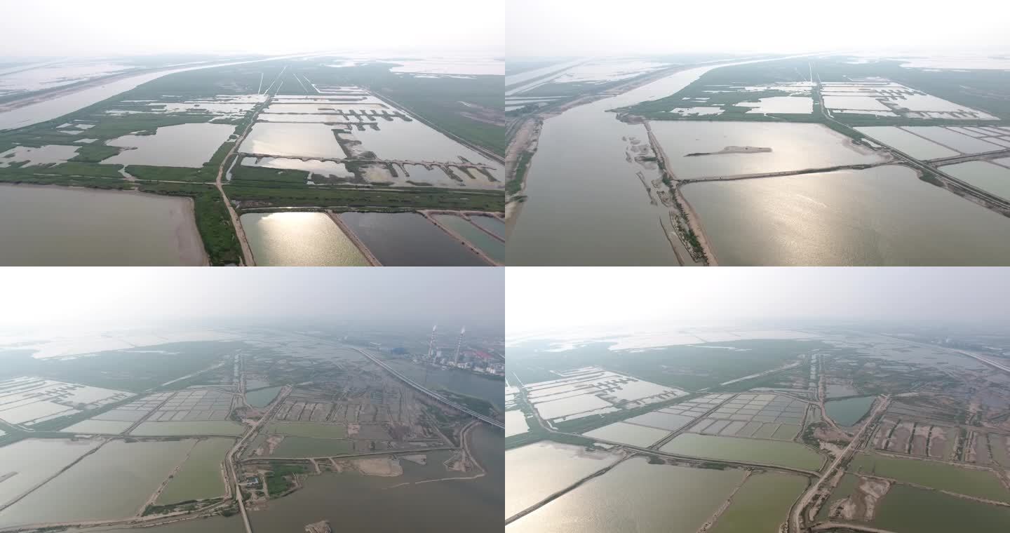天津大港湿地公园航拍4K 2022年