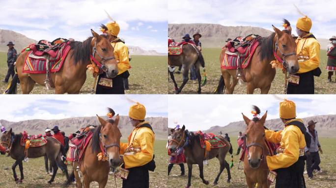 藏族人 牵马牵马去参加赛马节 高原马