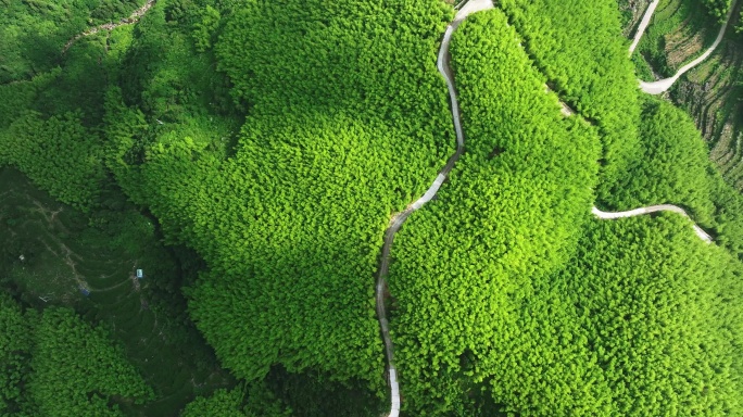 航拍山村盘山公路