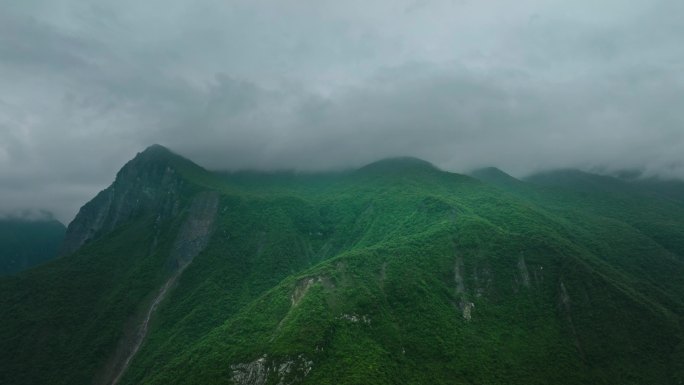 云雾缭绕的山林