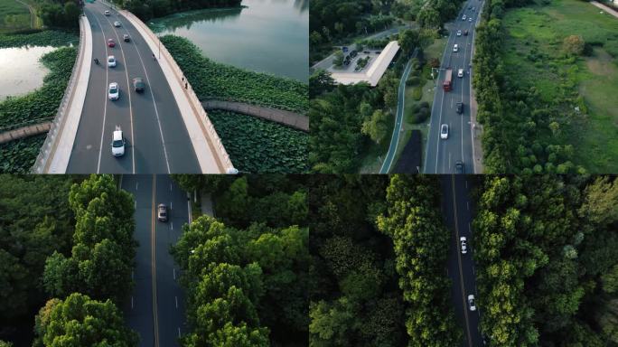 林阴大道 汽车行驶