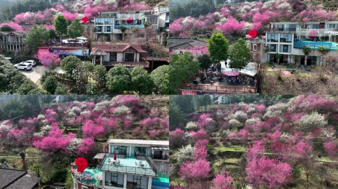 花海山村