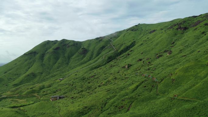 福建宁德航拍草场牧区草地牧场山峦白云空镜