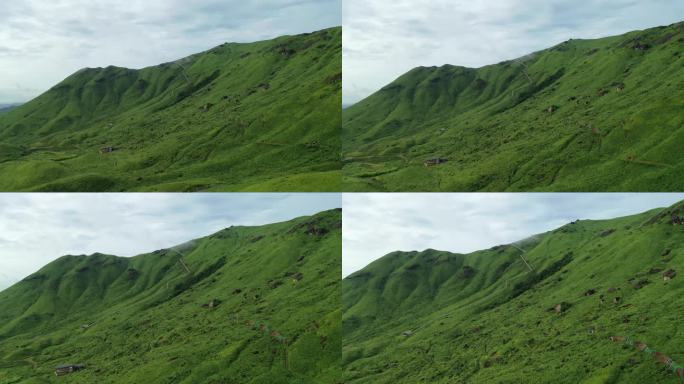 福建宁德航拍草场牧区草地牧场山峦白云空镜