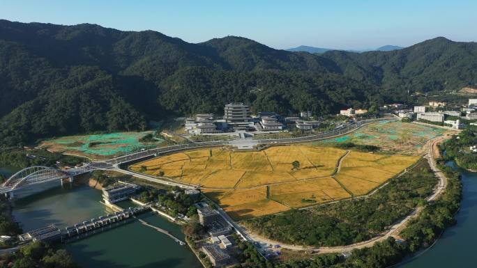 航拍中国国家版本馆广州分馆