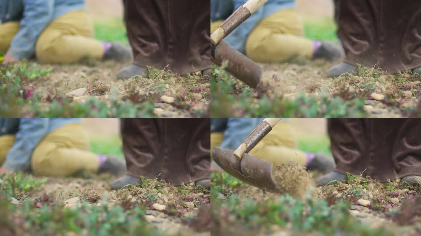 采石农民耕作劳作翻土沙漠绿化手套土壤养护