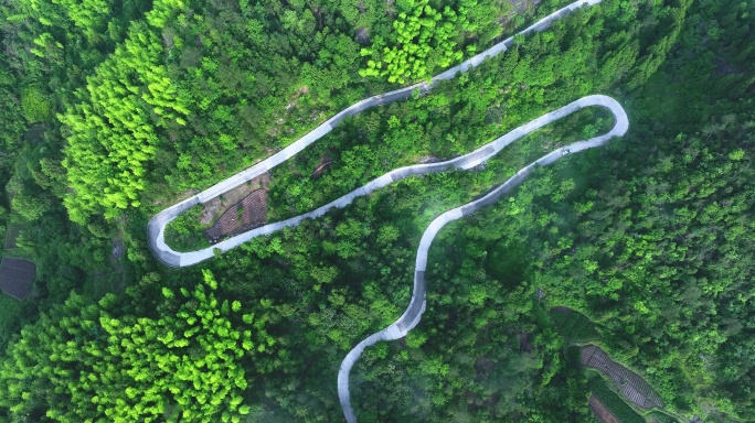 森林山路车流开车绿色出行新能源车