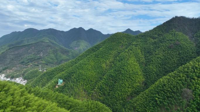 航拍安徽黄山木坑竹海大山竹林世外桃源