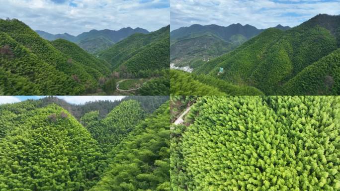 航拍安徽黄山木坑竹海大山竹林世外桃源