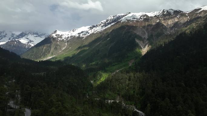 西藏 墨脱 雨淋 热带雨林 雪山