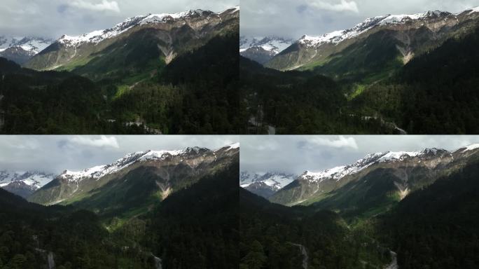 西藏 墨脱 雨淋 热带雨林 雪山