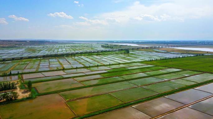 黄河川区灌溉平原粮食农业灌区