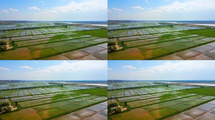 黄河川区灌溉平原粮食农业灌区