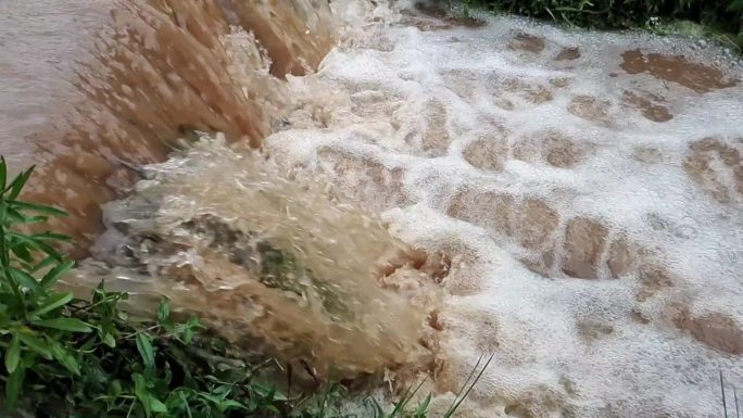 黄色预警 防汛 汛期 农田排水 雨后水田