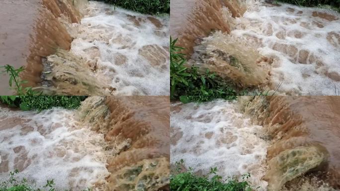 黄色预警 防汛 汛期 农田排水 雨后水田