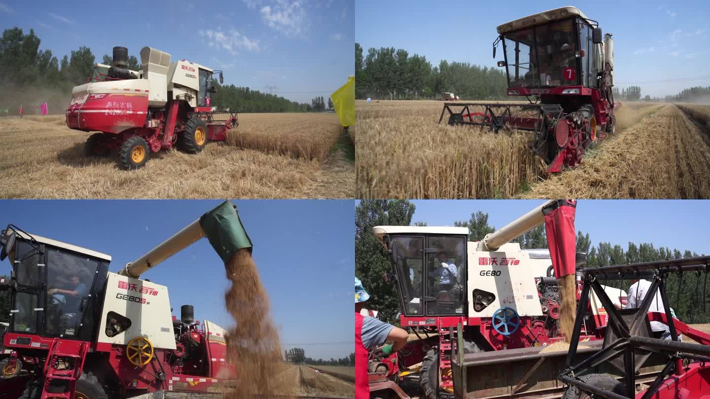 小麦丰收收割机收小麦