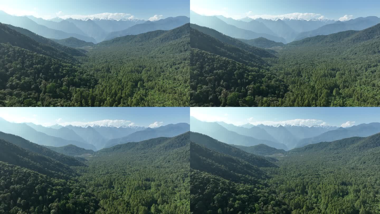 西藏 墨脱 雨淋 热带雨林 雪山