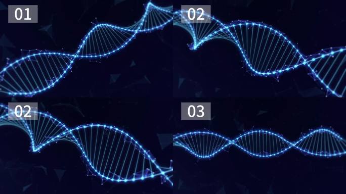 DNA链粒子_AE模板