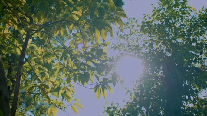 夏日天空小清新风格