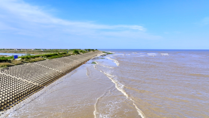 【4K 最新】海浪 浪花 海景 湿地